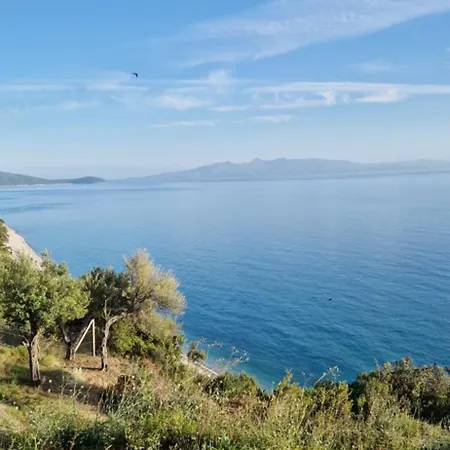 Oceanfront Oasis * Borsh