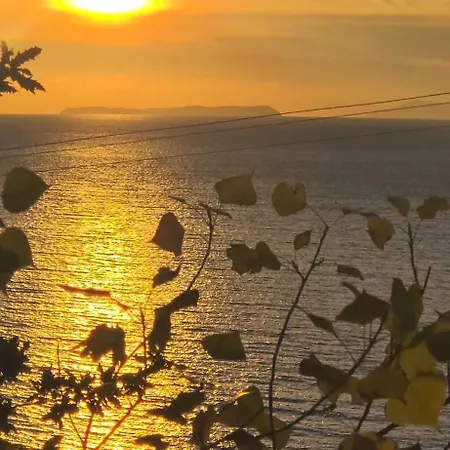 Villa Oceanfront Oasis