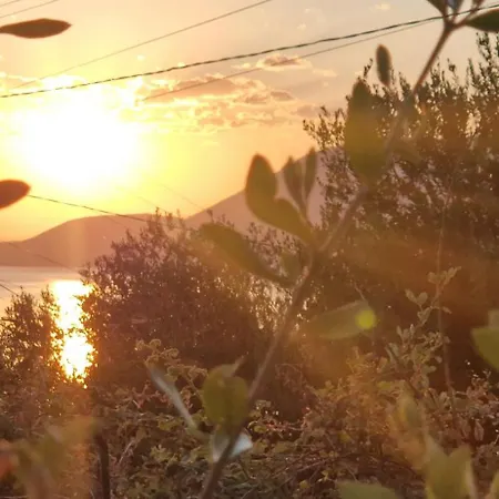 Oceanfront Oasis * Borsh