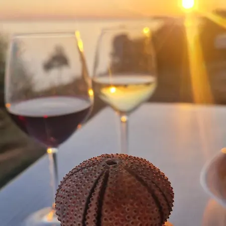 Willa Oceanfront Oasis