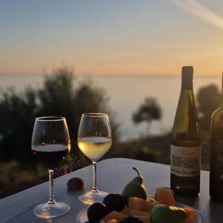 Oceanfront Oasis Villa *