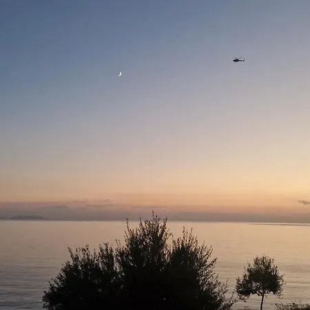 Oceanfront Oasis Borsh