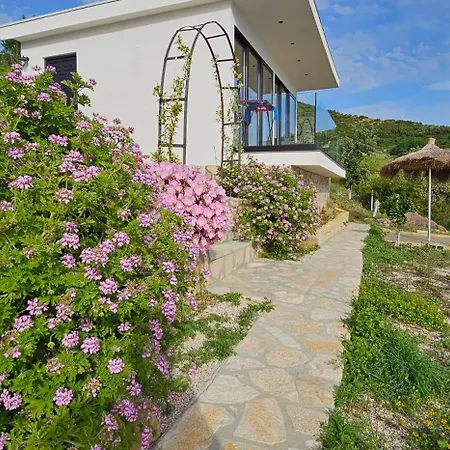 Villa Oceanfront Oasis *