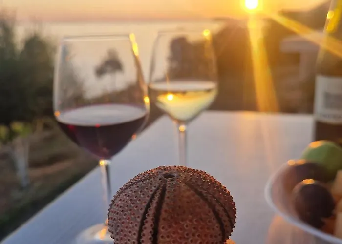 Villa Oceanfront Oasis