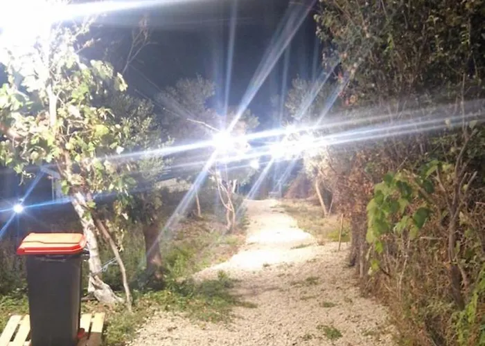 Oceanfront Oasis Borsh