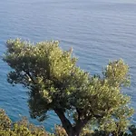 فيلة Oceanfront Oasis *