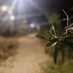 Oceanfront Oasis فيلة بورش