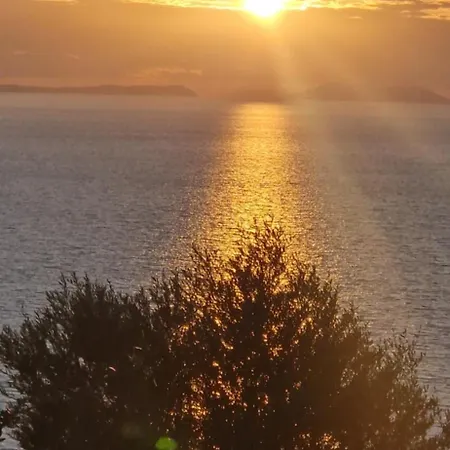 Oceanfront Oasis * 博尔什