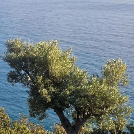 فيلة Oceanfront Oasis *