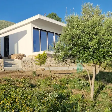 Oceanfront Oasis Villa Borsh