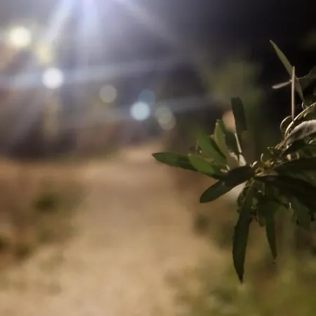 Oceanfront Oasis 别墅 博尔什