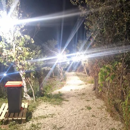 Oceanfront Oasis 博尔什