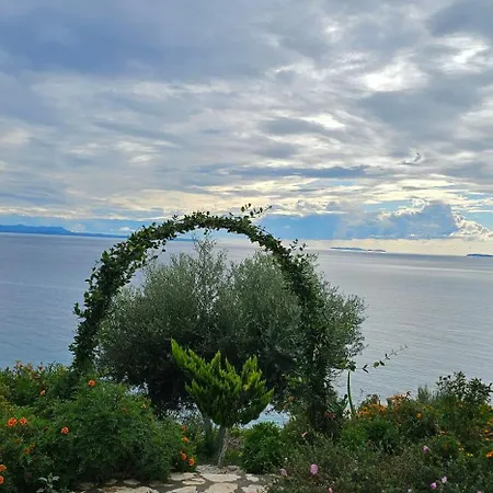 Willa Oceanfront Oasis