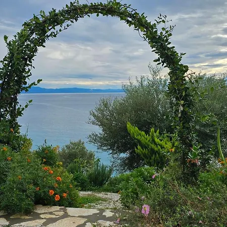 Oceanfront Oasis Willa *