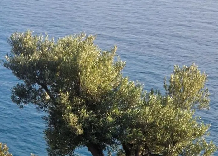 빌라 Oceanfront Oasis *