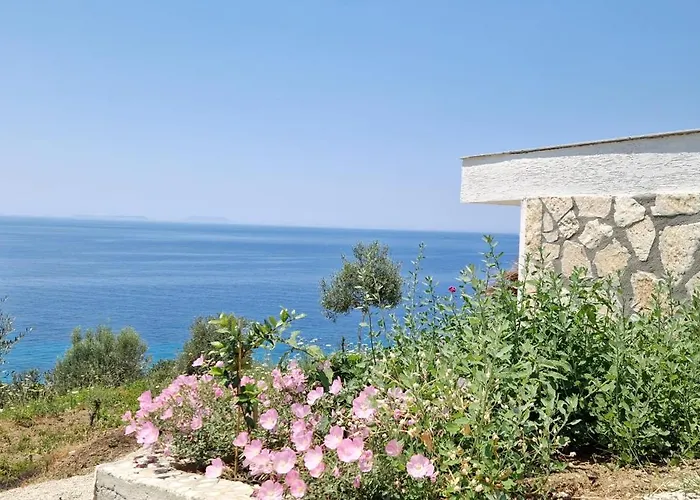 Villa Oceanfront Oasis Borş