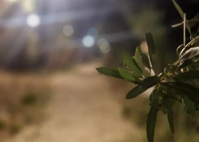 Oceanfront Oasis 빌라 보르쉬