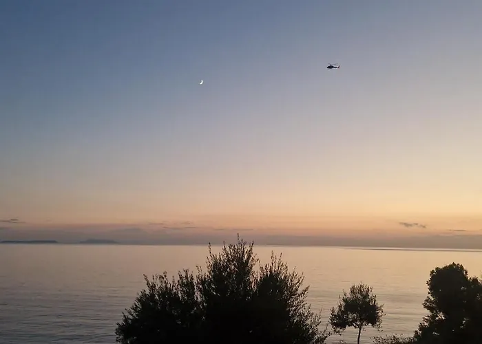 Oceanfront Oasis Borş