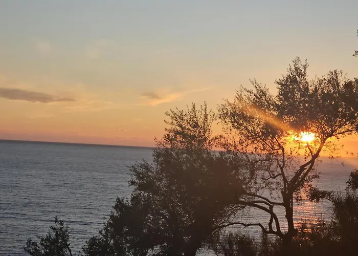 Oceanfront Oasis Villa Borş